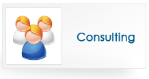 Consulting